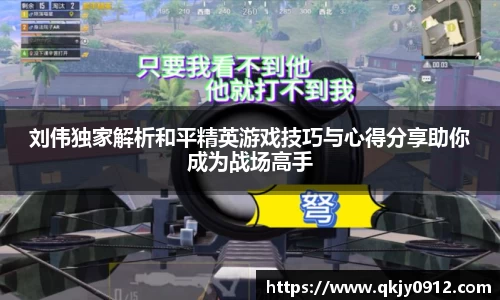 Betball官网入口