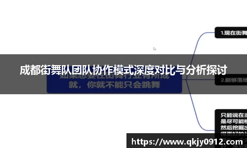 成都街舞队团队协作模式深度对比与分析探讨